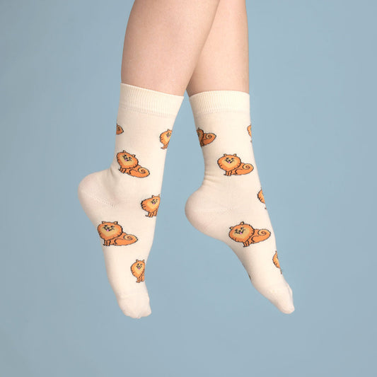 Chaussettes Spitz T35-44