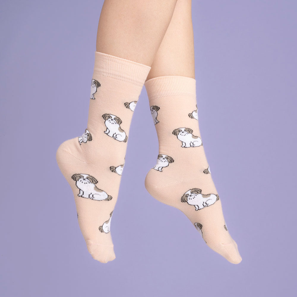 Chaussettes Shih tzu T35-44