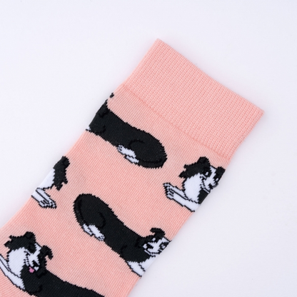 Chaussettes Border collie T35-44